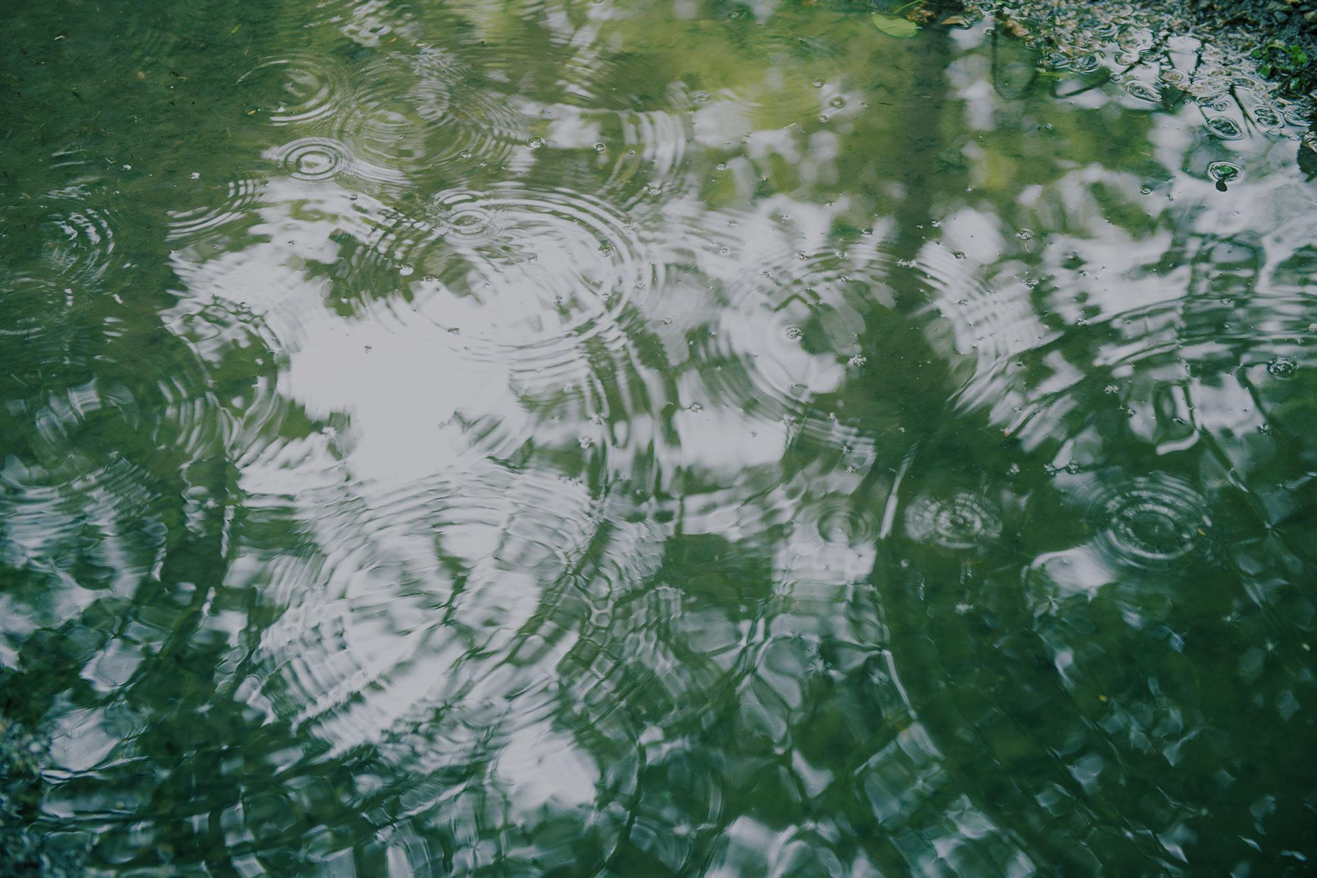 Givaudan Landing Page